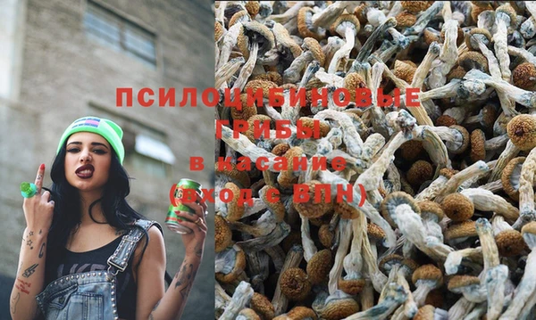 бошки Белоозёрский